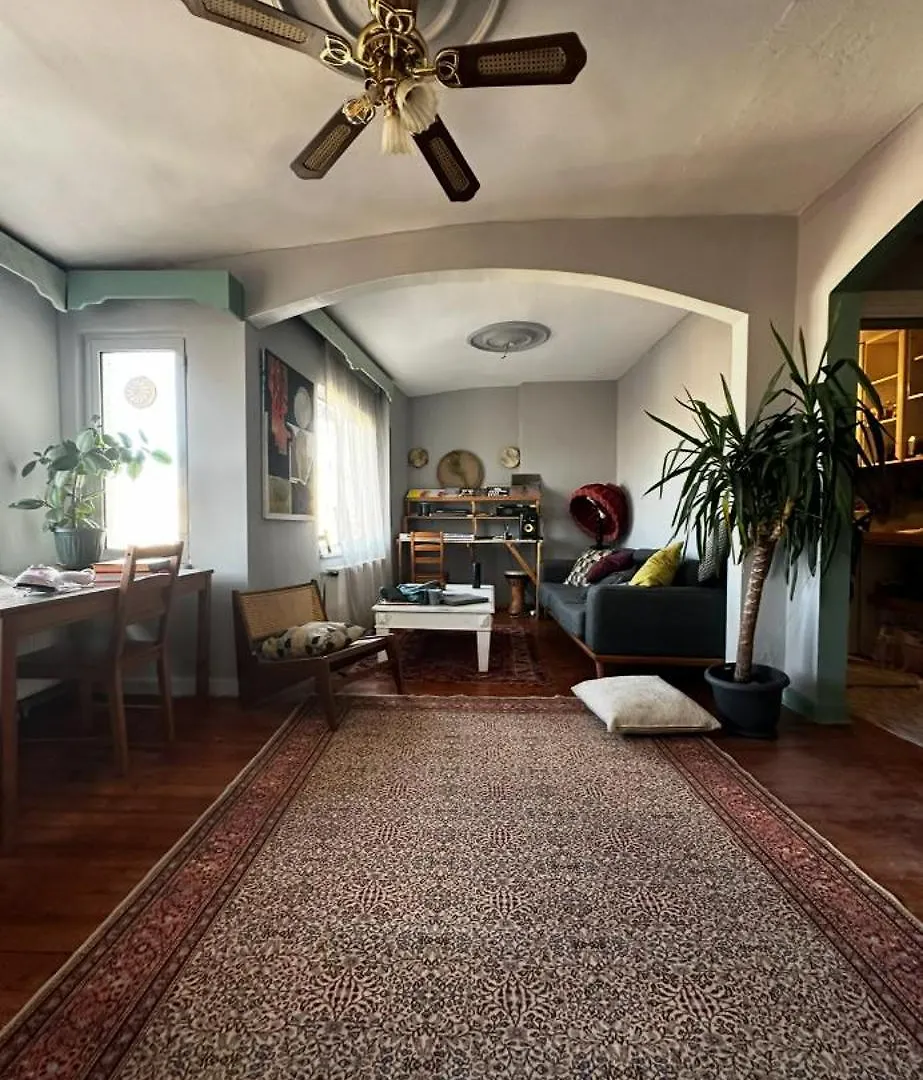 Cost Flat In Taksim With View Apartment Istanbul Turkey